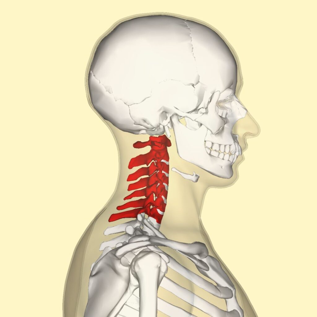 The benefit of chiropractic treatments for cervical spine